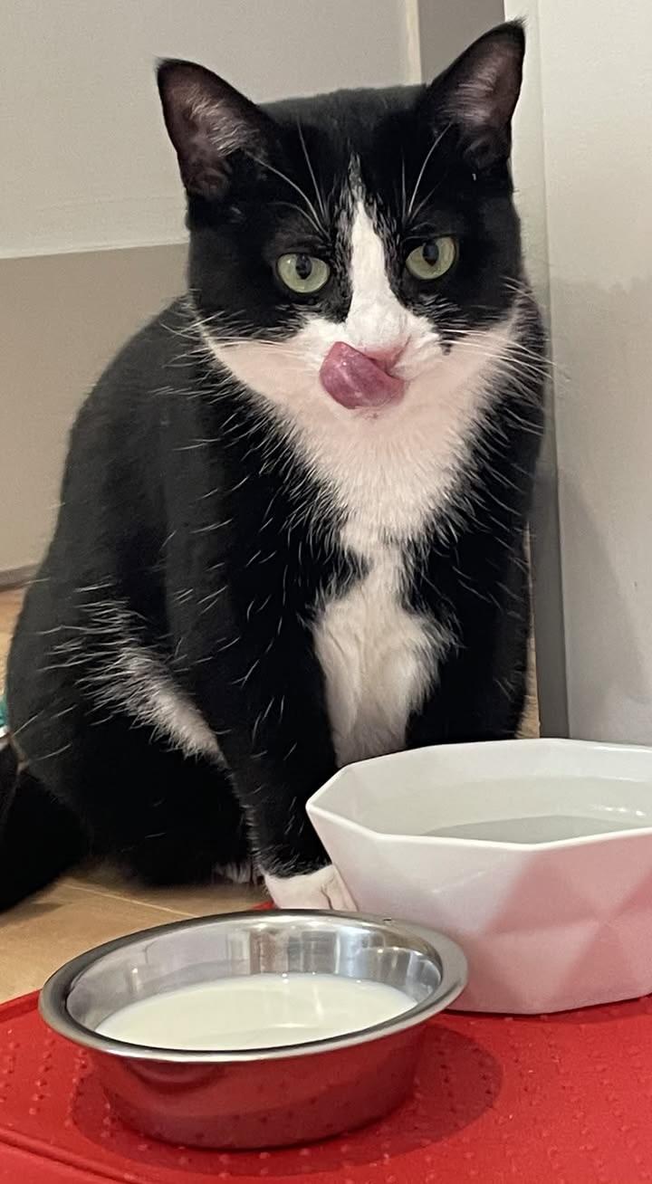 Cookie