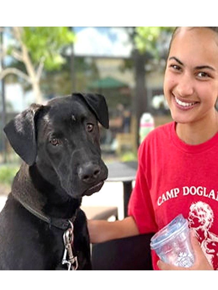 Enlarge Oregano - Camp Graduate, a Adoptable mixed breed in Sanford, FL image 2/3