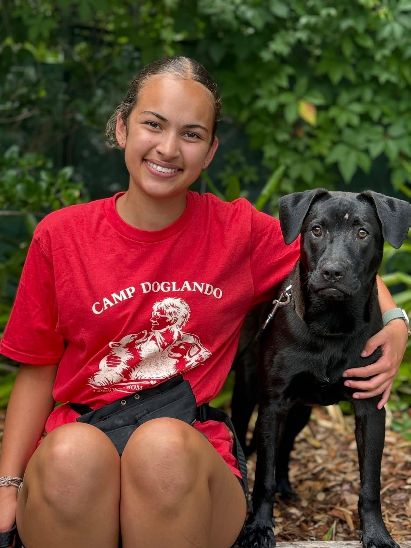 Enlarge Oregano - Camp Graduate, a Adoptable mixed breed in Sanford, FL image 3/3