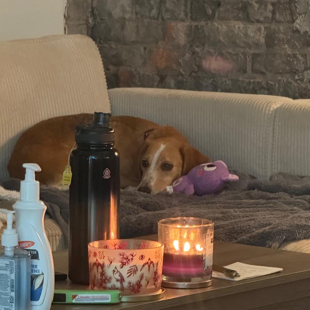 Maisy Mouse — thumbnail 2