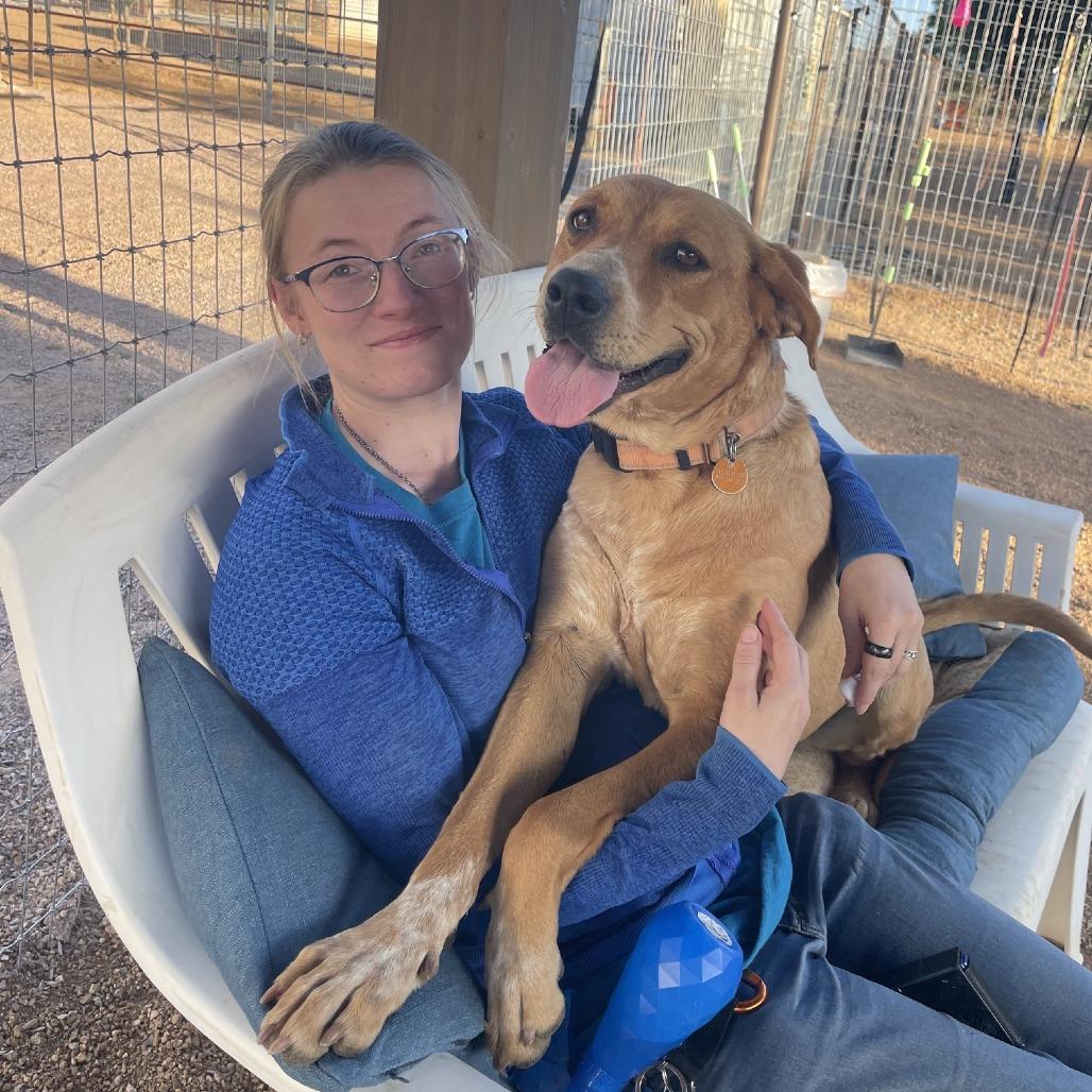Lady, a Adoptable mixed breed in Prescott, AZ image 2/6