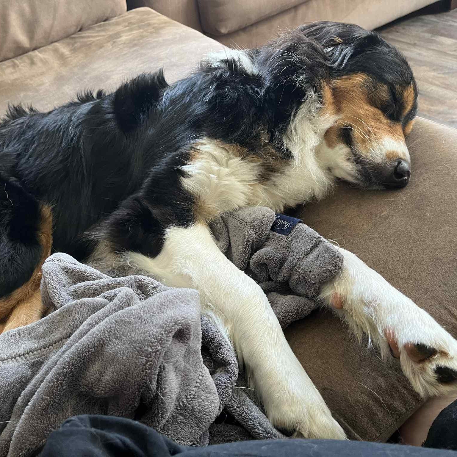 Nyla