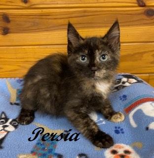Persia