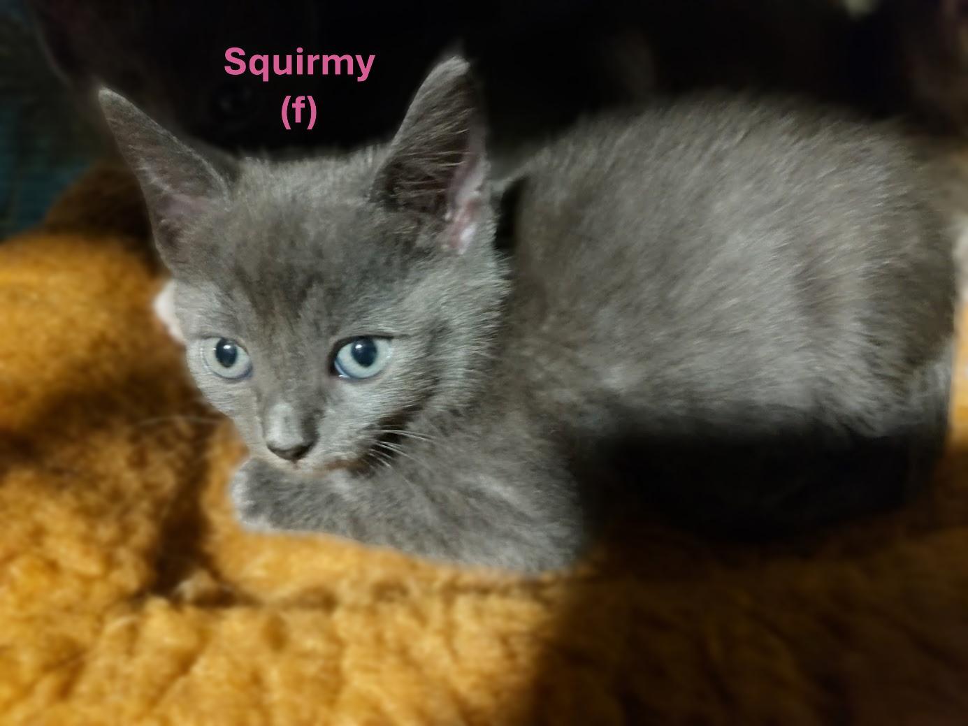 Squishy (Sister to Squeezy)