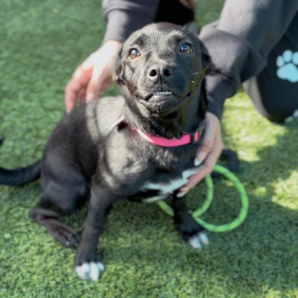 Butters A2252791 — thumbnail 2