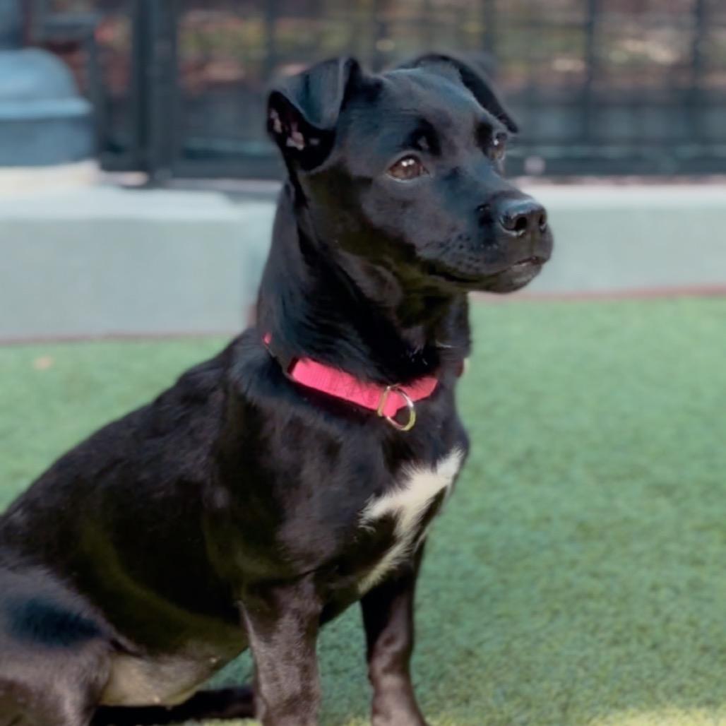 Butters A2252791 — thumbnail 6