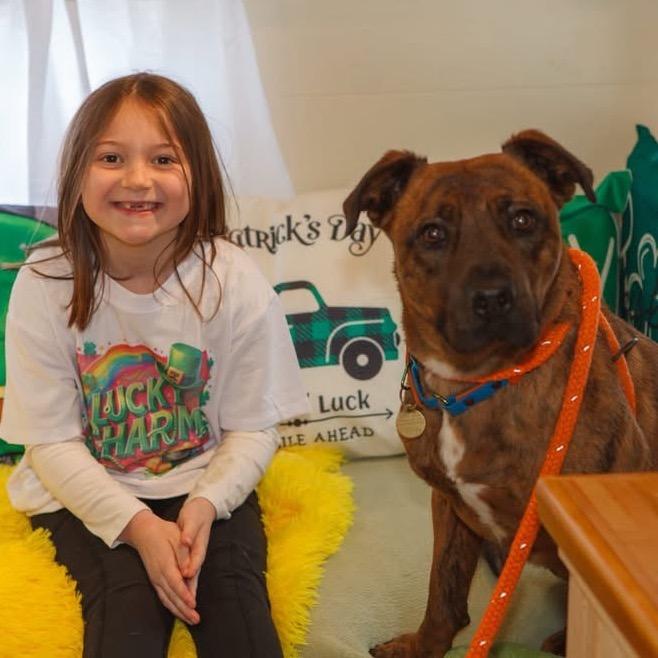 Enlarge Tamarack, a Adoptable Mixed Breed in Priest River, ID image 5/6