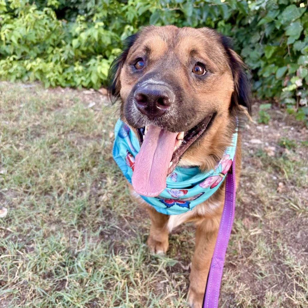 Lane — thumbnail 3