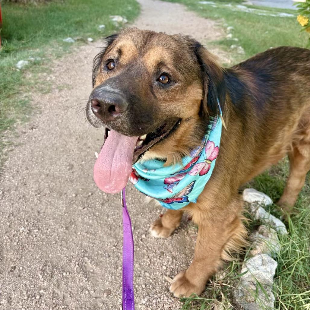 Lane — thumbnail 4