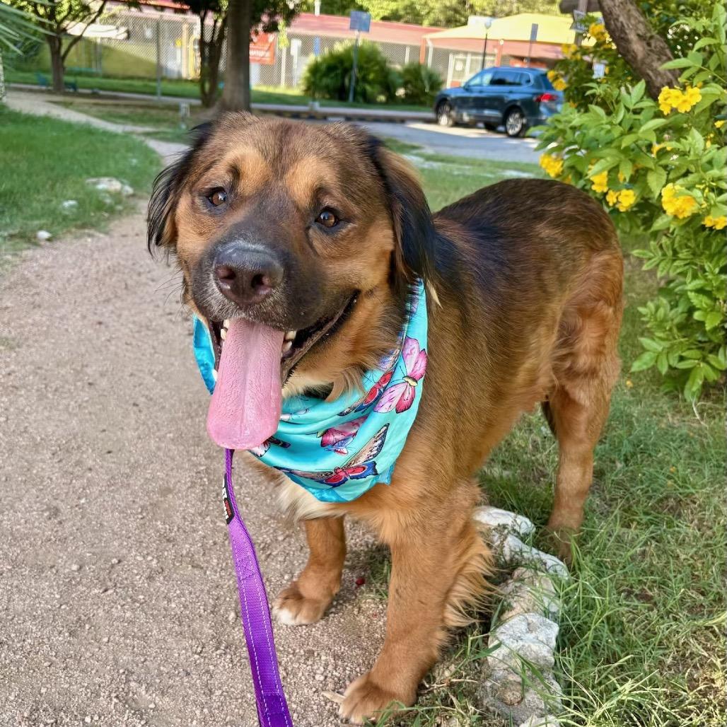 Lane — thumbnail 5