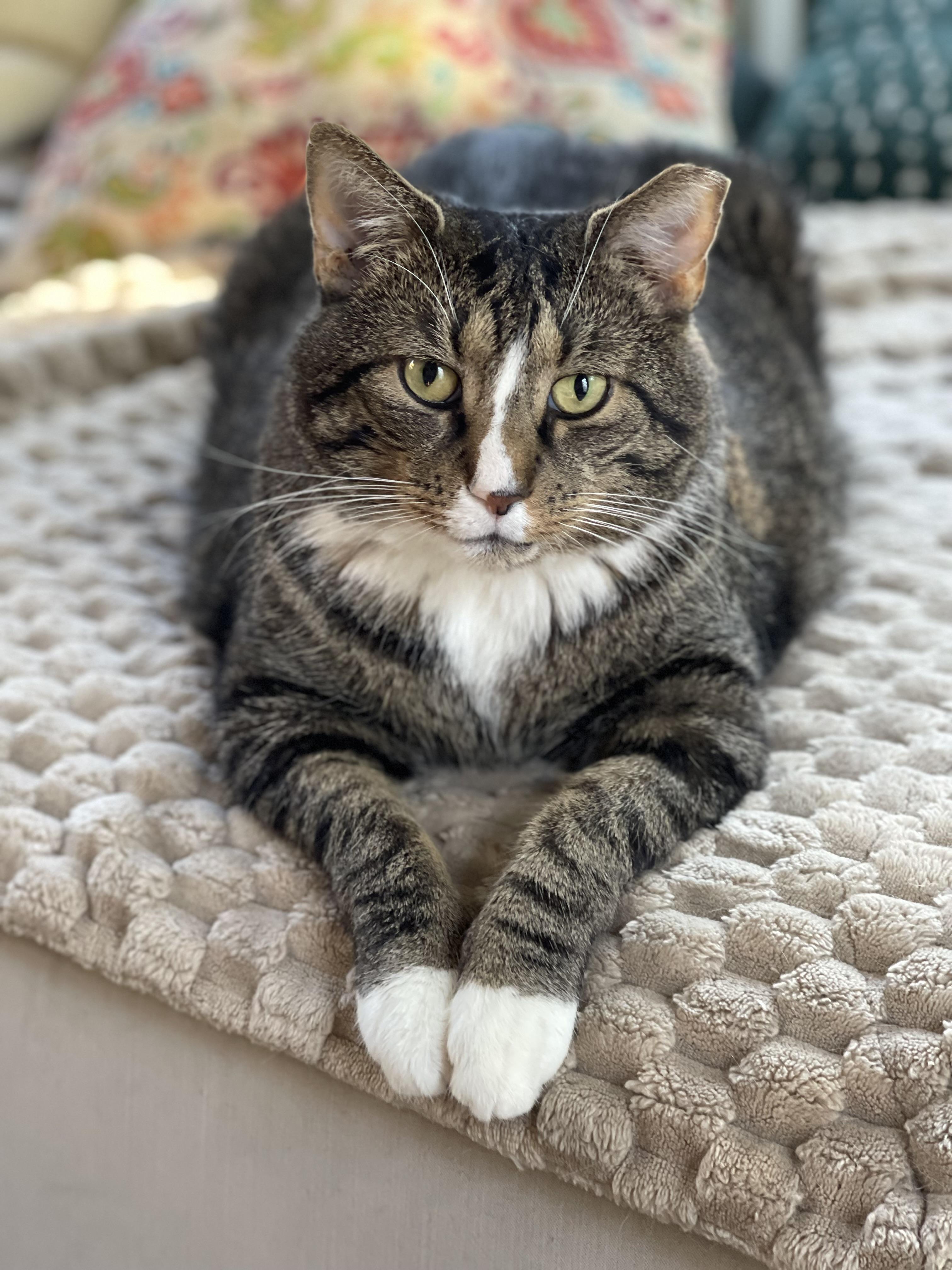 Titanic (aka Ty—big lovebug with a big heart!)