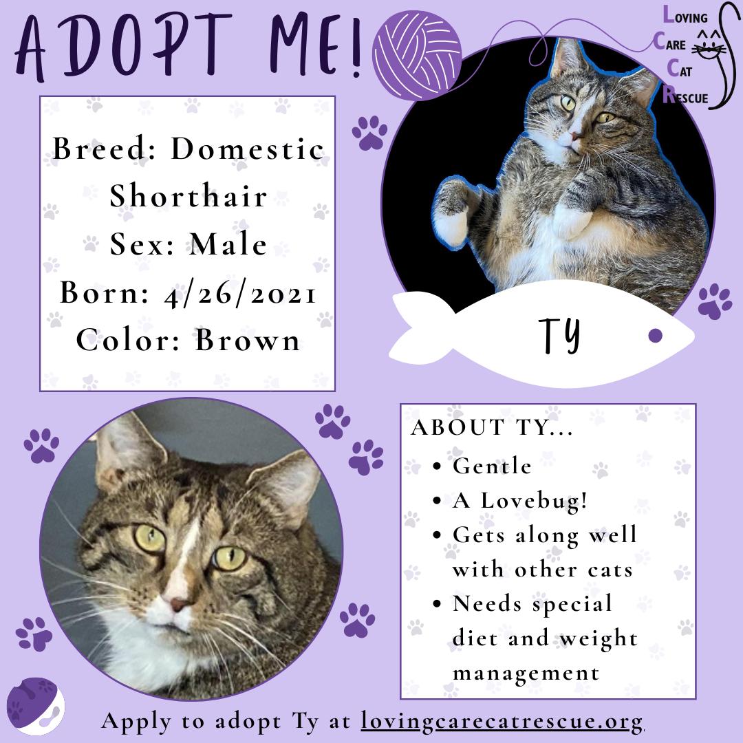 Titanic (aka Ty—big lovebug with a big heart!)