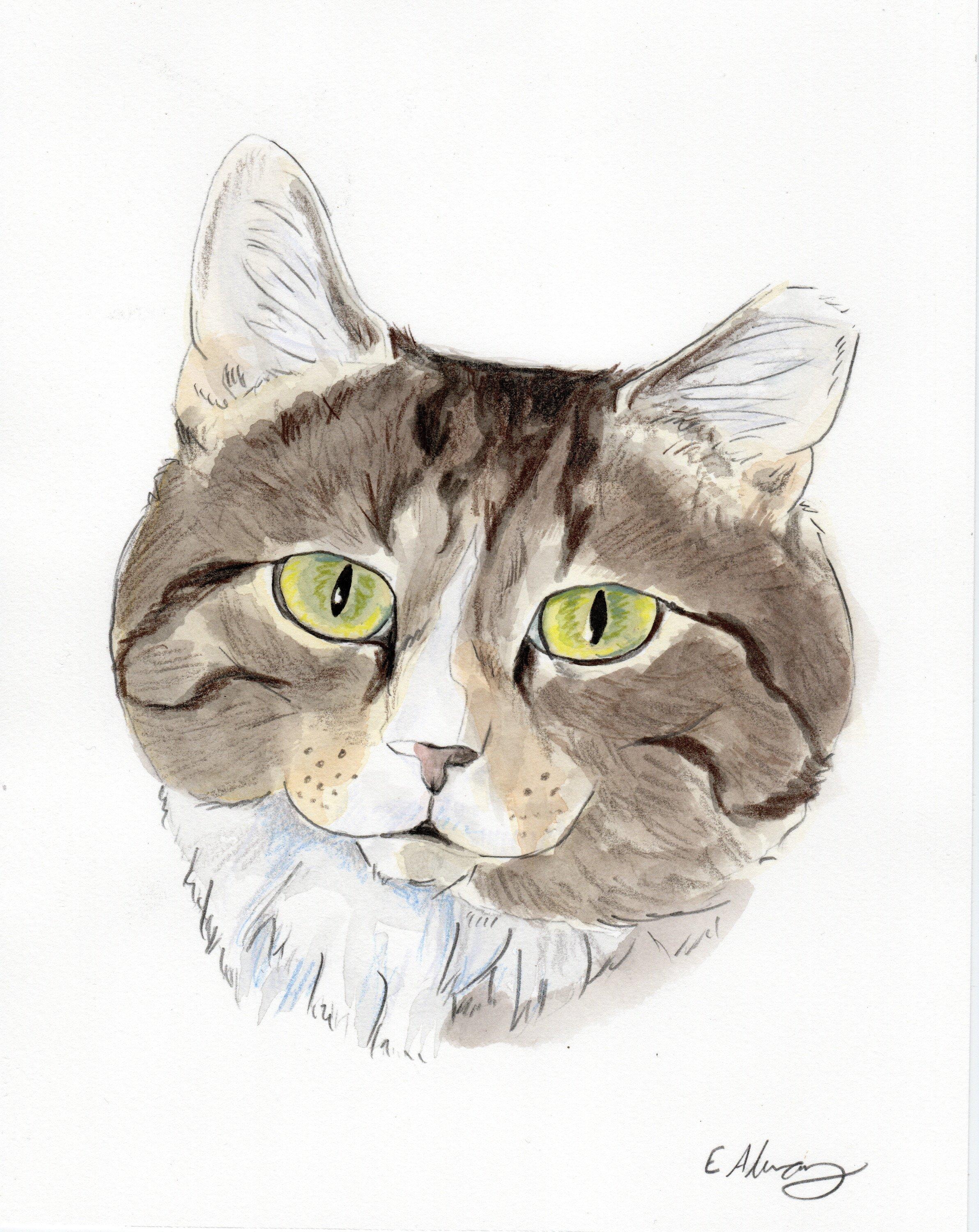 Titanic (aka Ty—big lovebug with a big heart!)