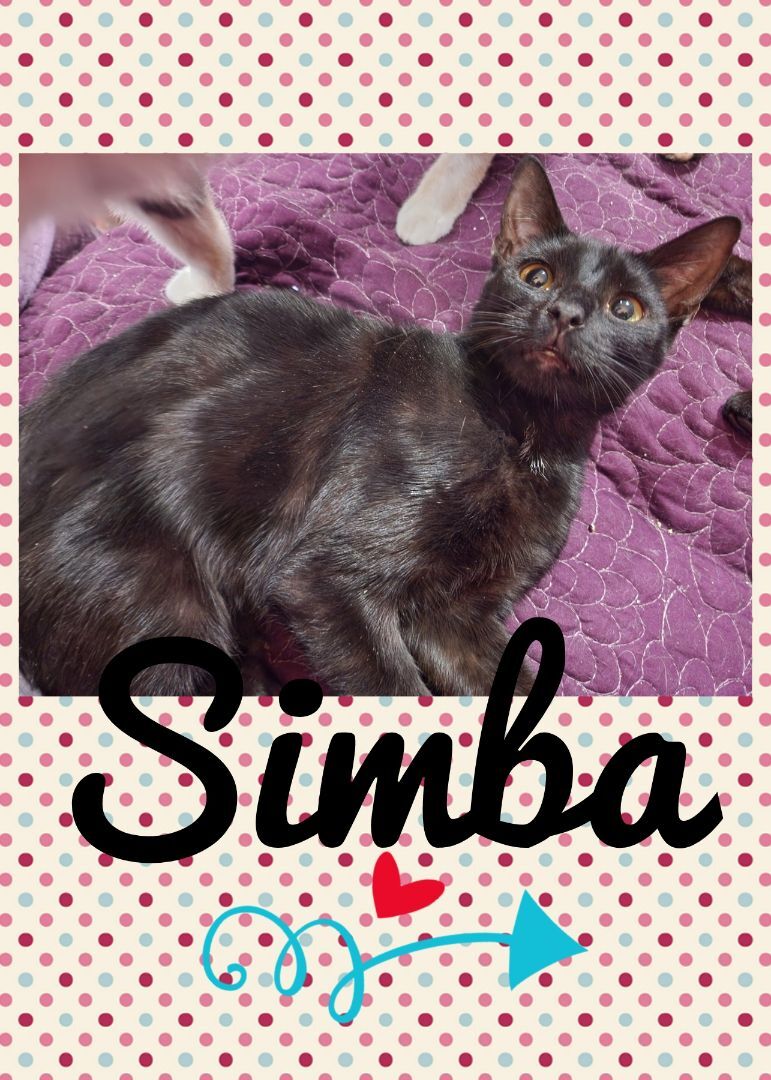 Simba