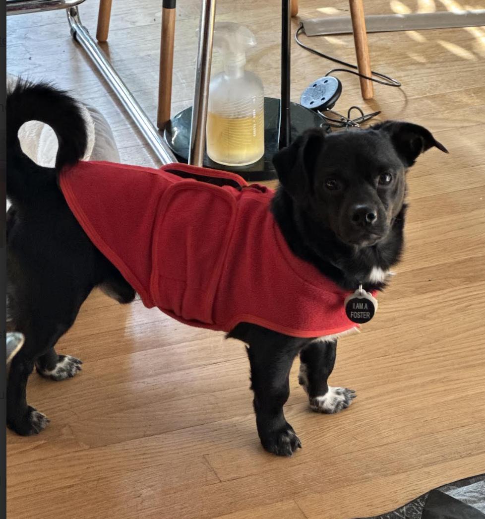 Coffee Buzz thumbnail 3