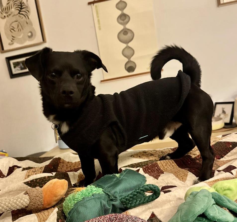 Coffee Buzz thumbnail 5