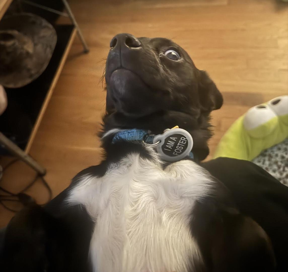 Coffee Buzz thumbnail 6