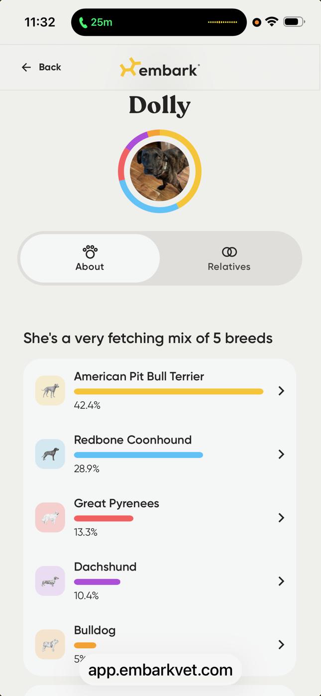 Enlarge Dolly ***URGENT FOSTER NEEDED***, a ADOPTABLE mixed breed in Palatine, IL image 4/4