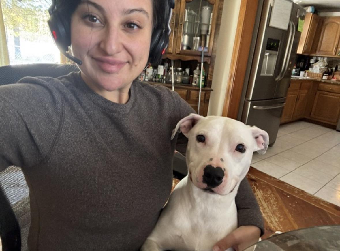 Scarlet (courtesy post), ADOPTABLE, Senior Female Pit Bull Terrier.