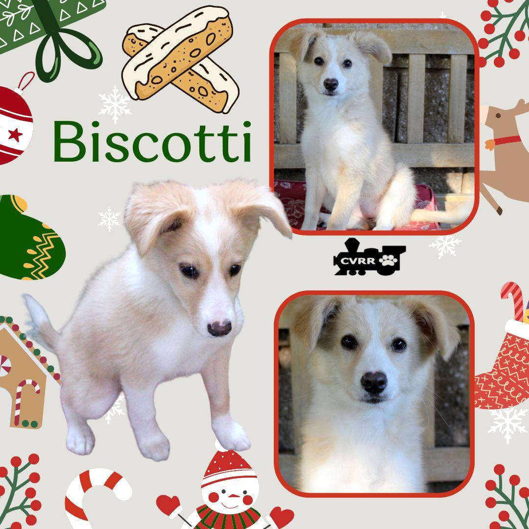 Biscotti thumbnail 2