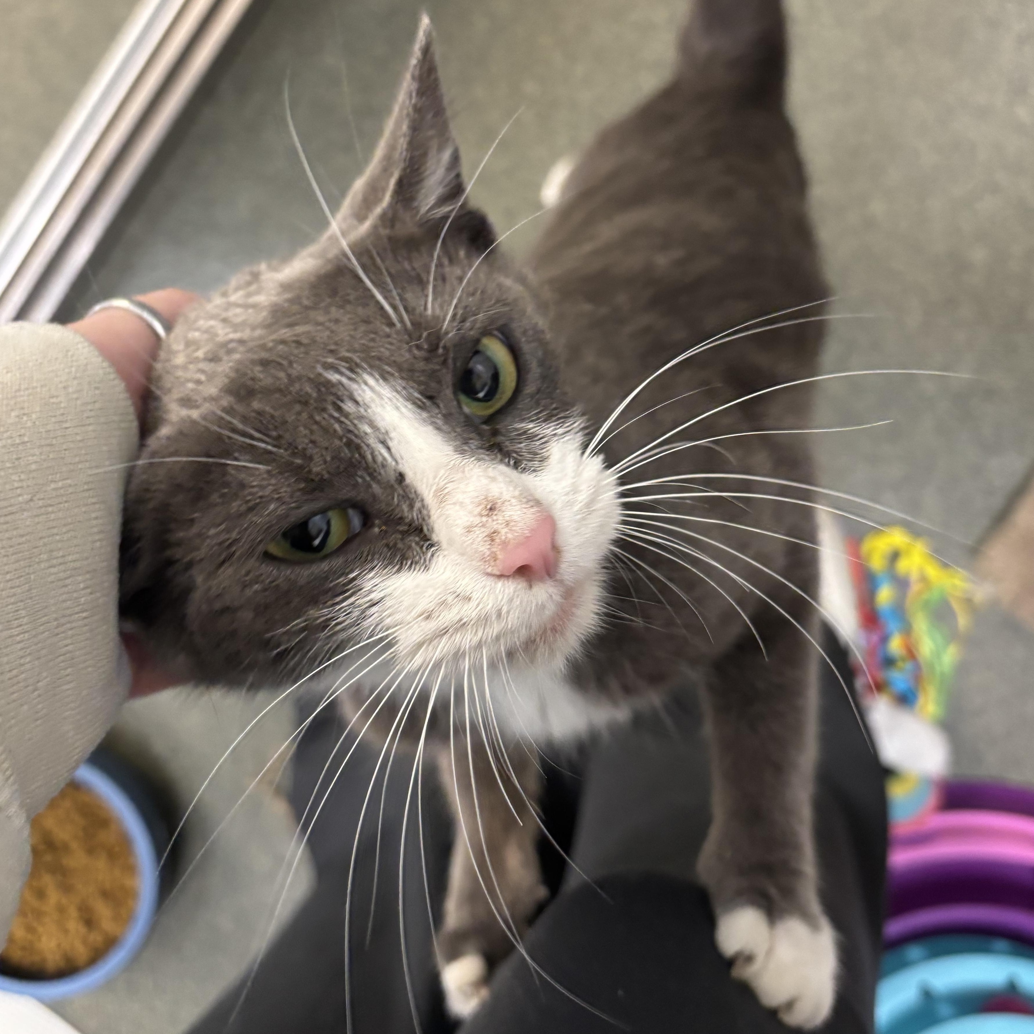 Snowflake thumbnail 2