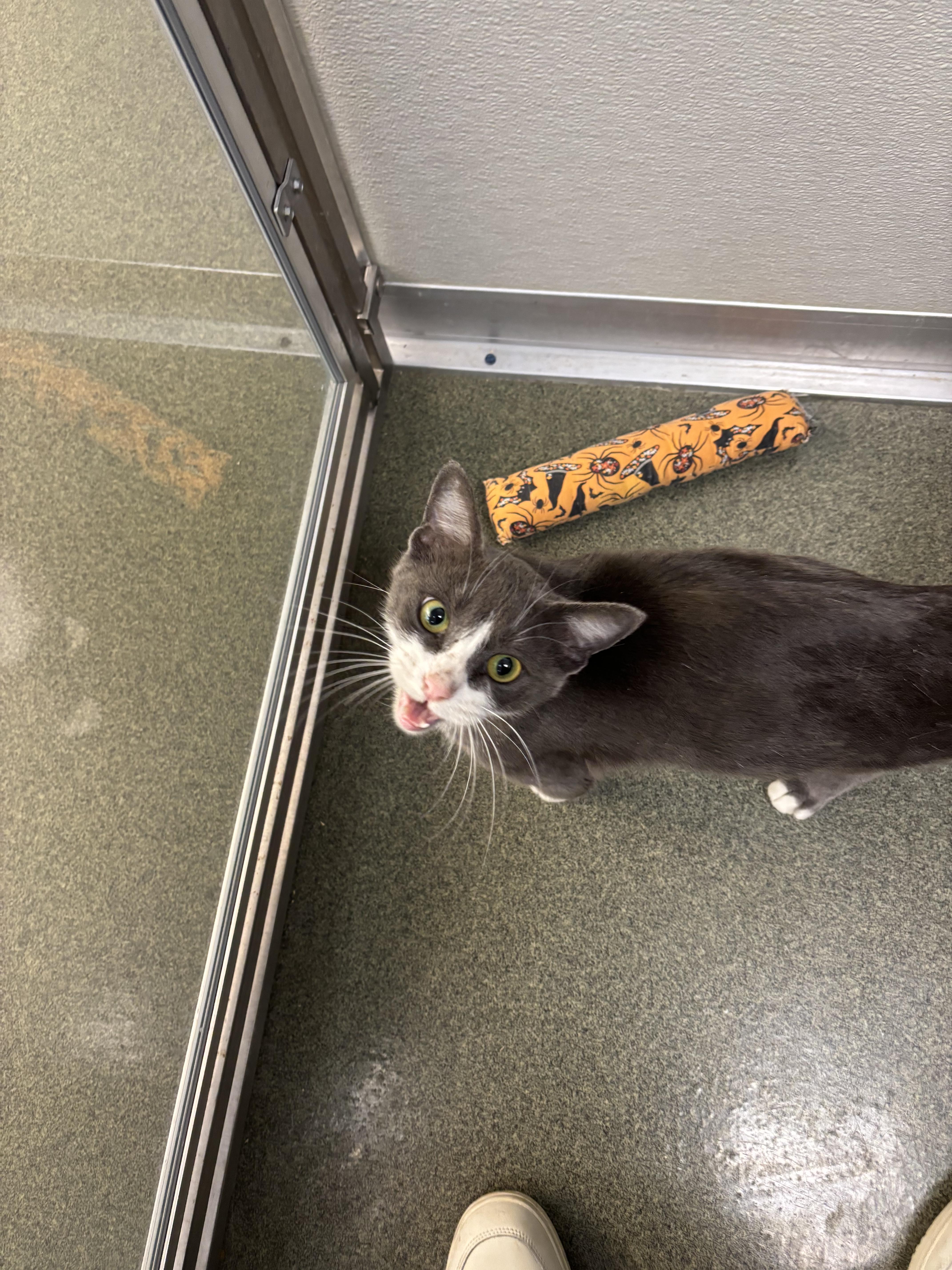 Snowflake thumbnail 3