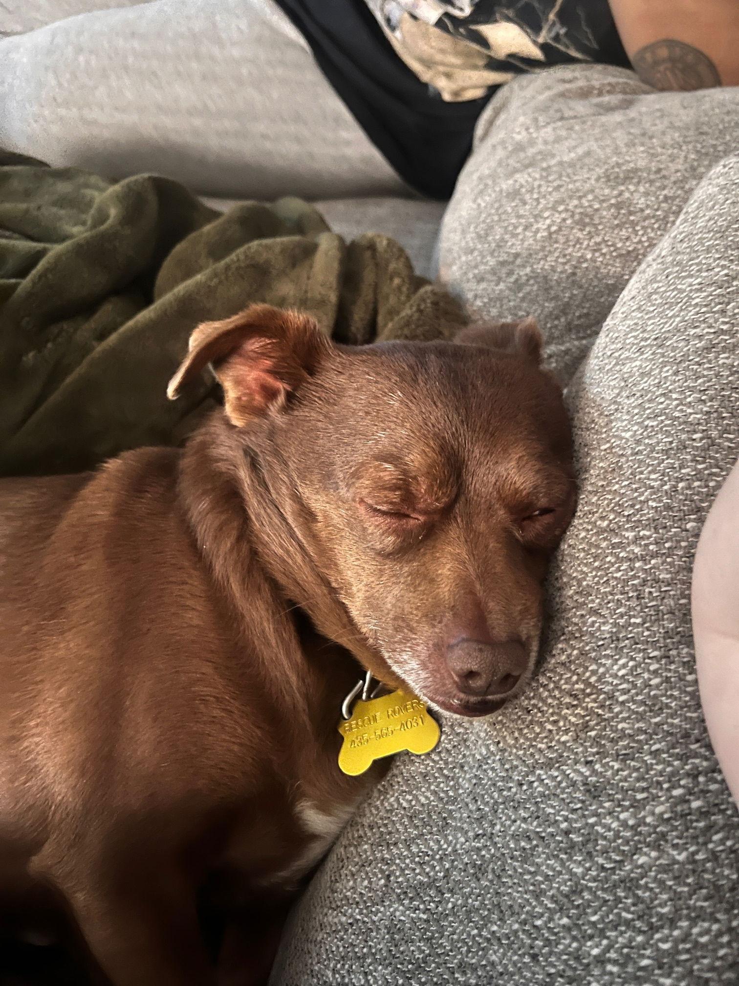 Randee — thumbnail 2