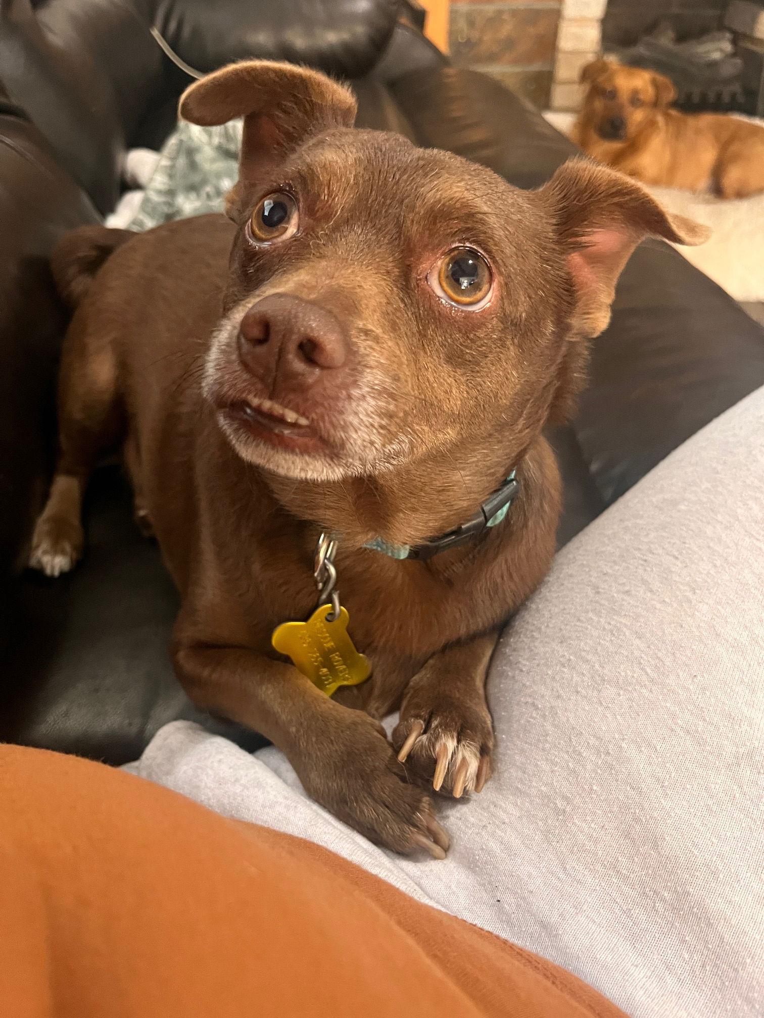 Randee — thumbnail 3