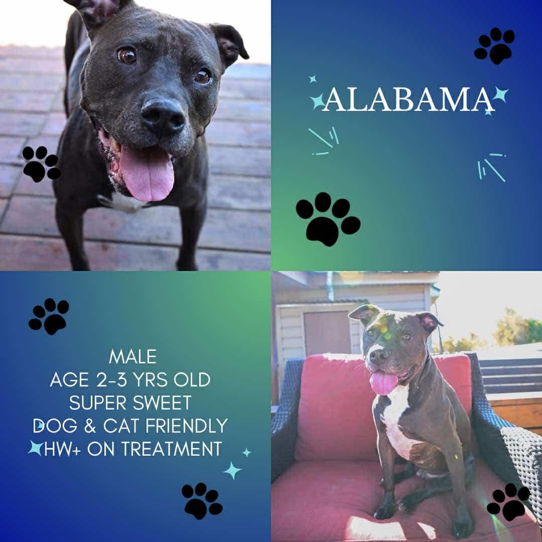 Alabama