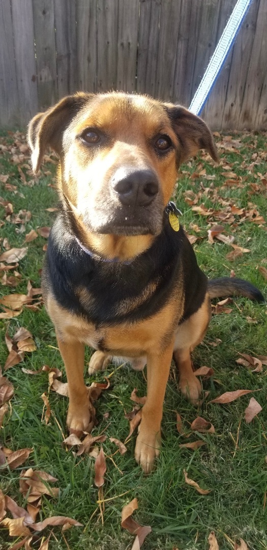 Vader photo 6