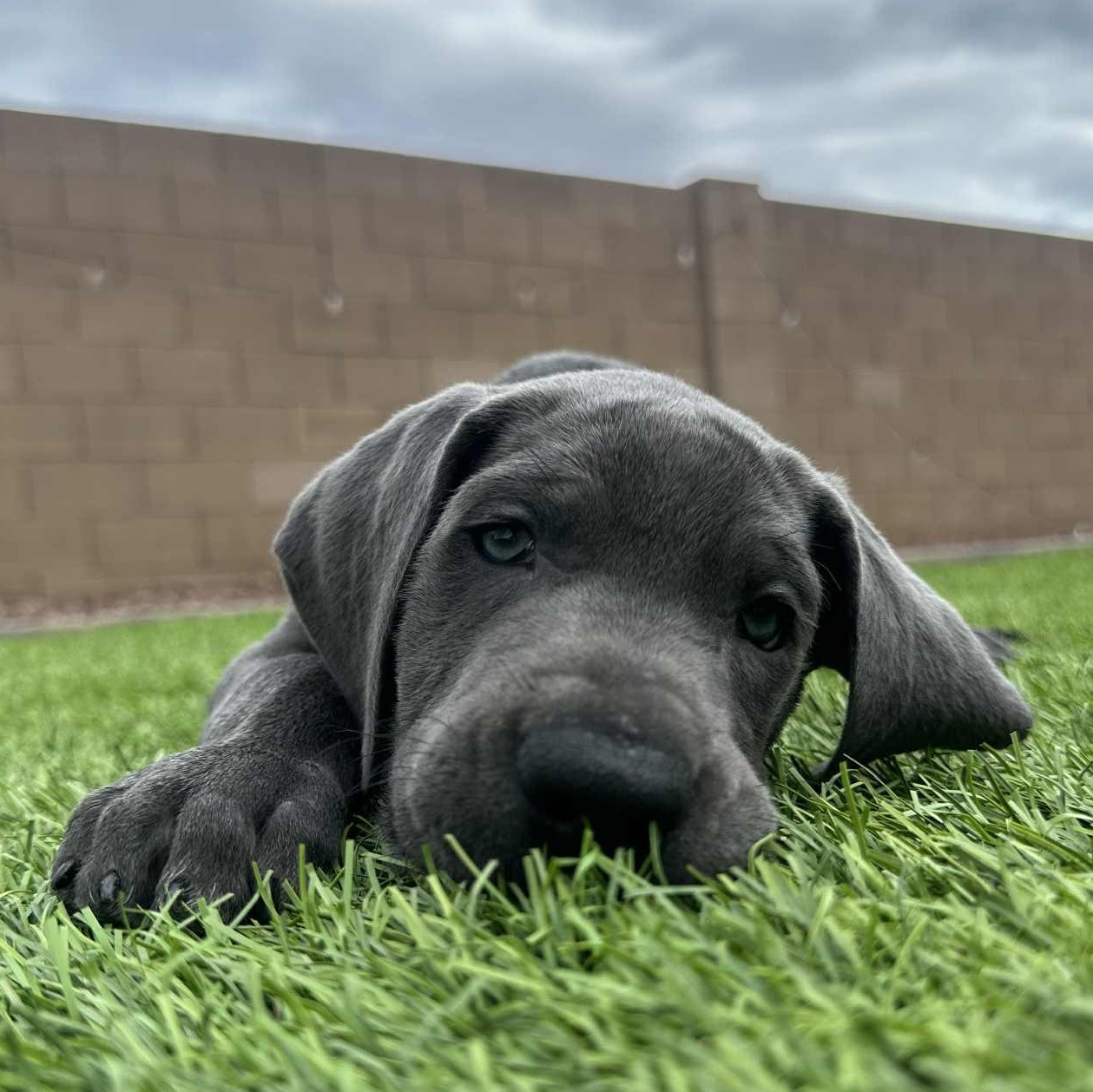 Tombstone thumbnail 4