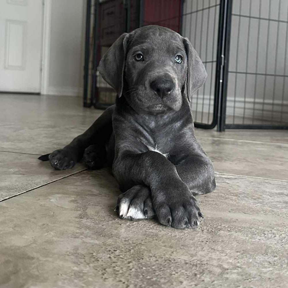 Tombstone thumbnail 3