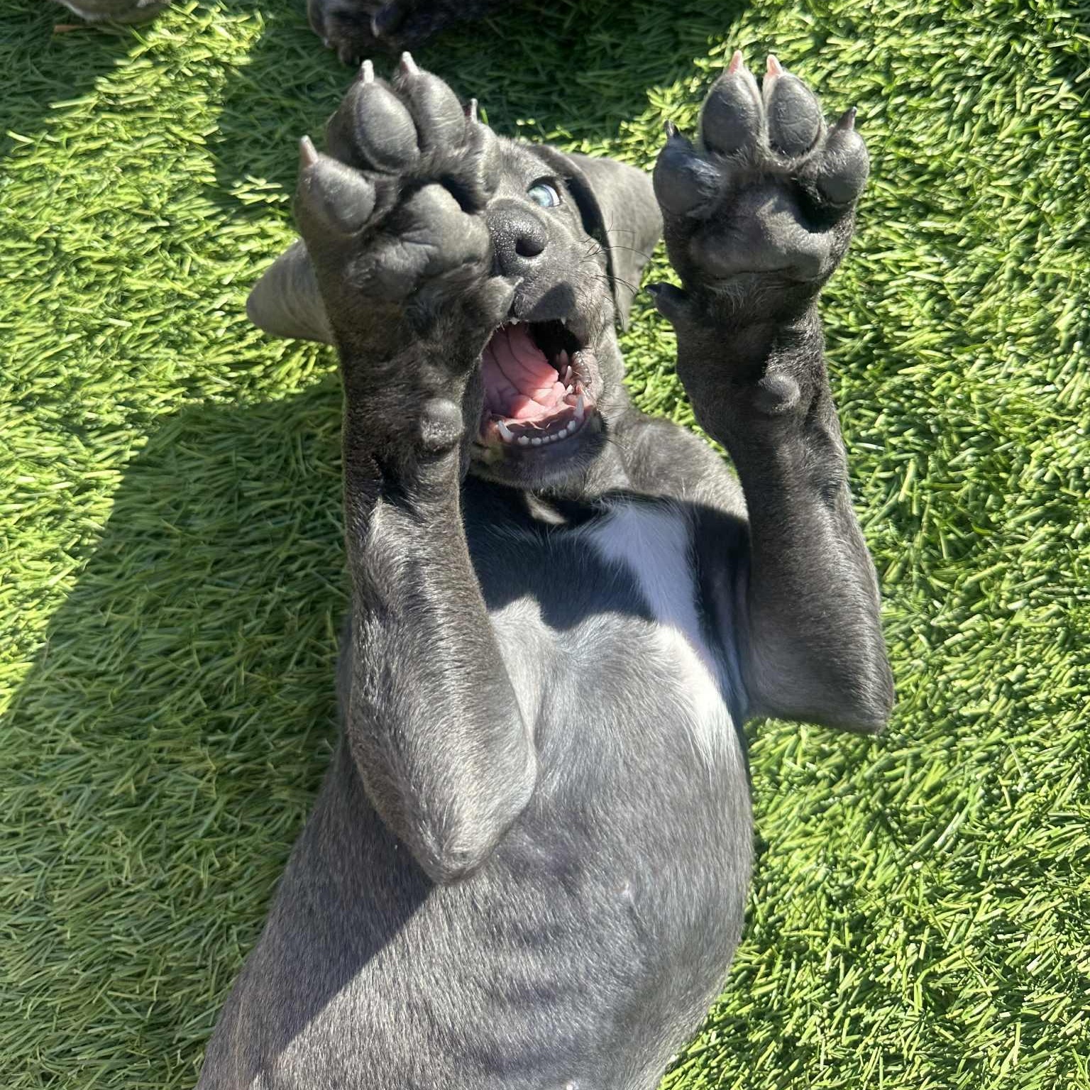 Tombstone thumbnail 5