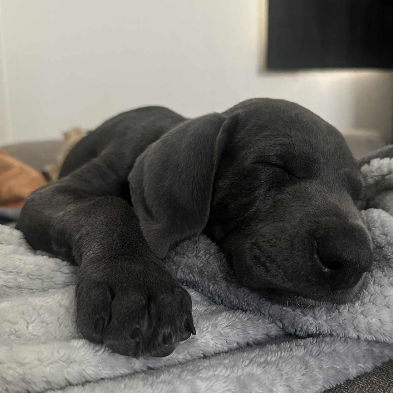 Tombstone thumbnail 2