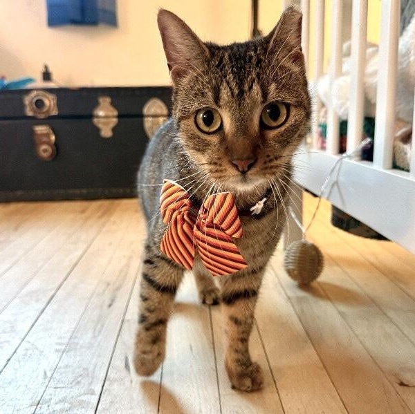 Berlin — thumbnail 2