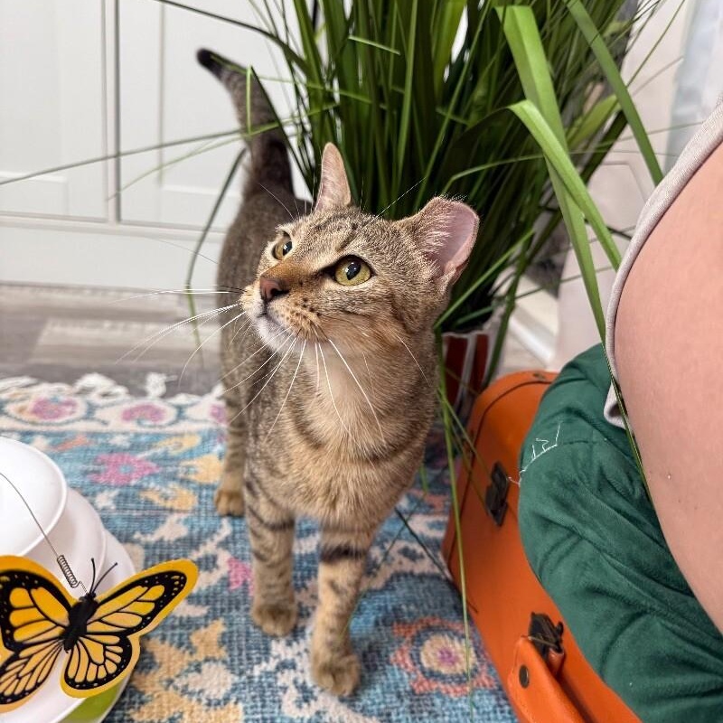 Berlin — thumbnail 3