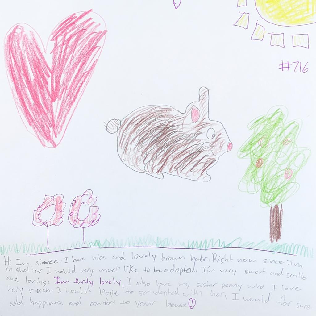 Aimee, a Adoptable Cinnamon in Kanab, UT image 4/5