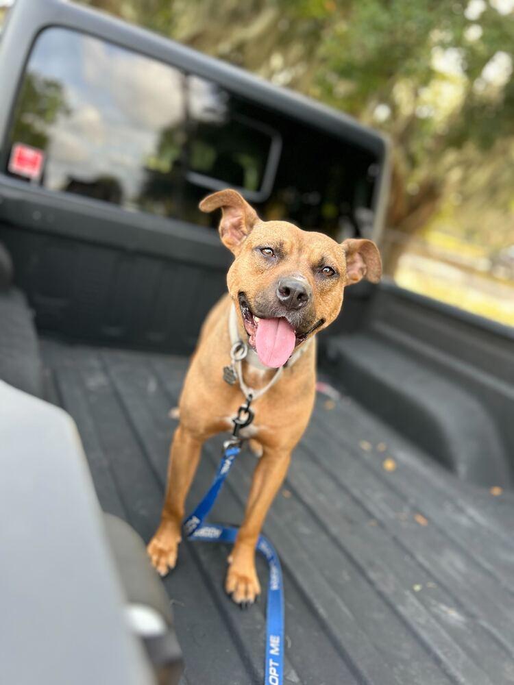 Esparanza thumbnail 3