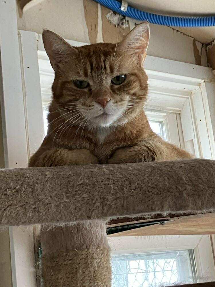 Squash Whiskers Jones