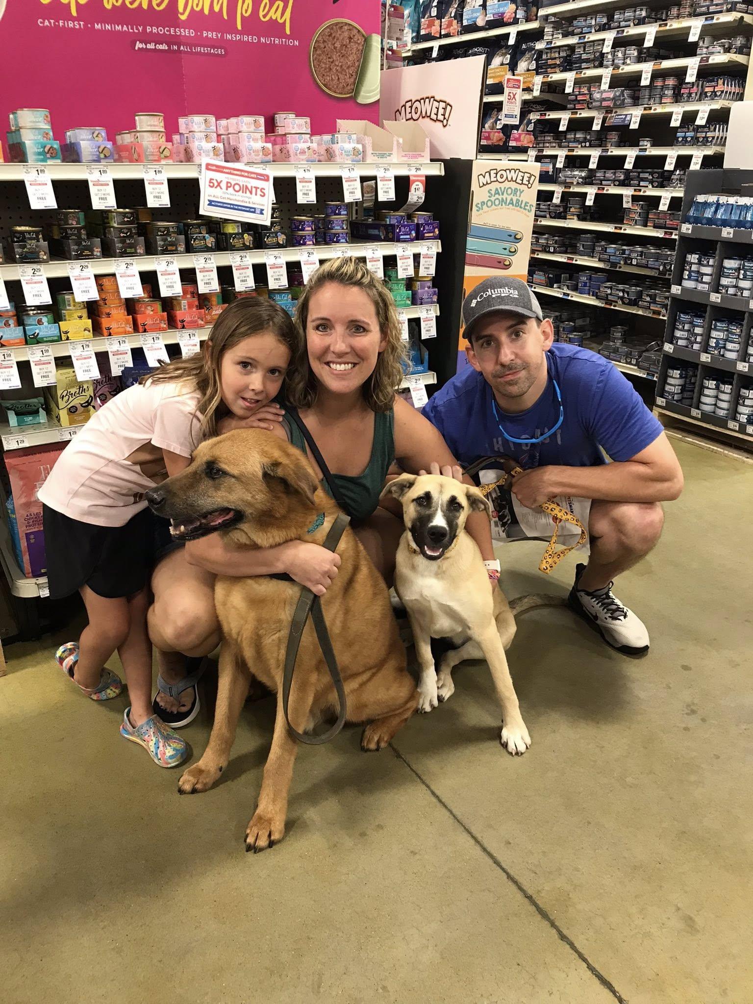 Enlarge Butter Cup - ADOPTED!, a Adopted mixed breed in Olive Branch, MS image 1/6