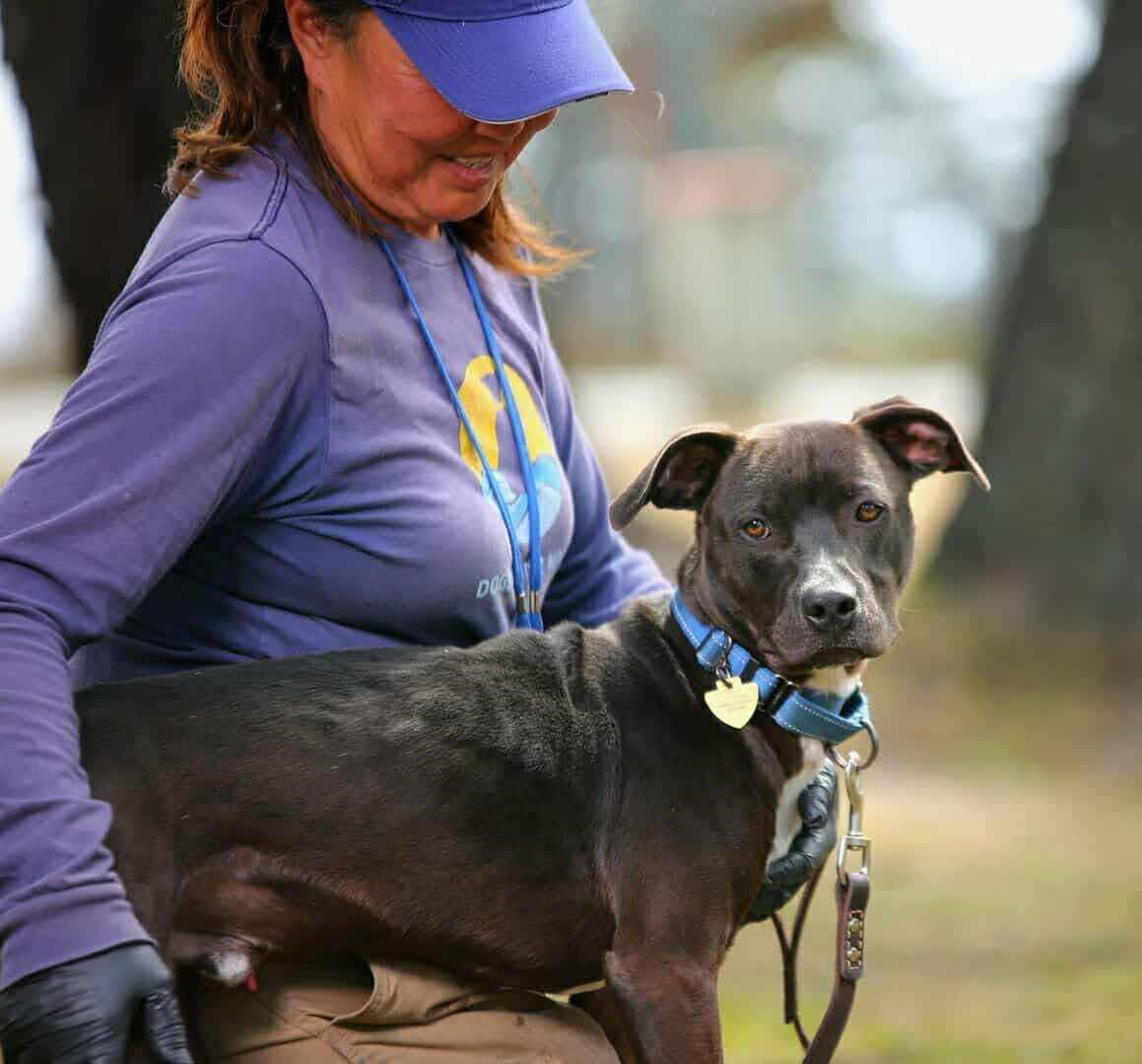 Crosby, a Adoptable Mixed Breed in Battle Ground, WA image 2/6
