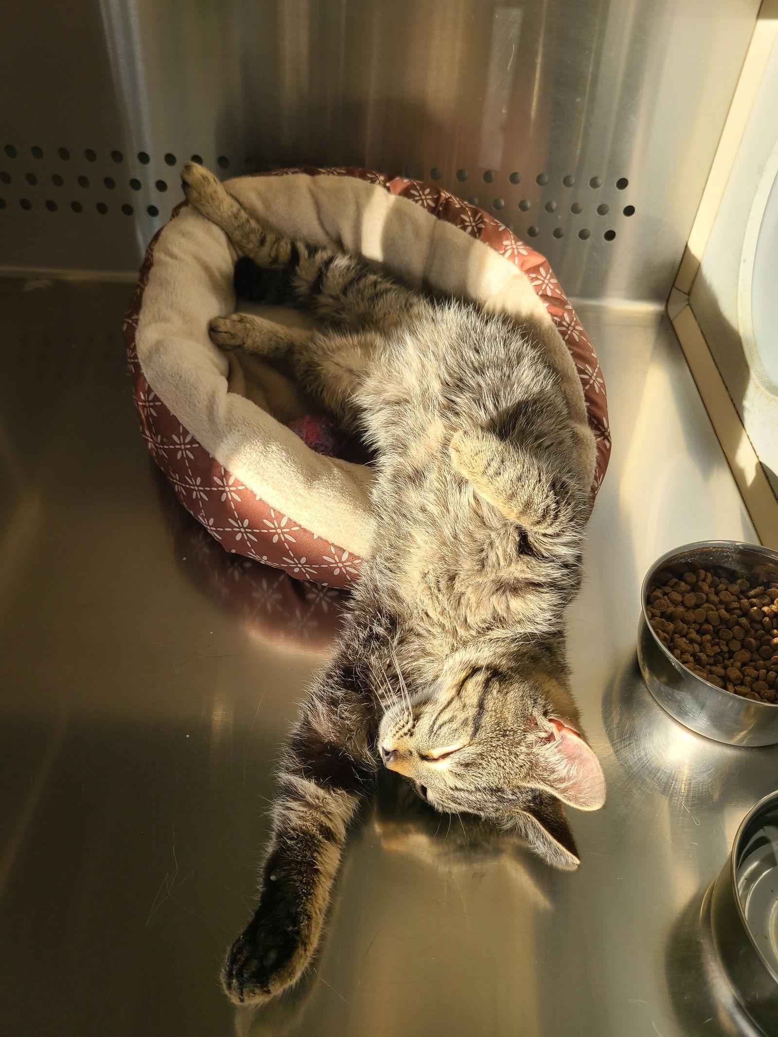 Eponce — thumbnail 2