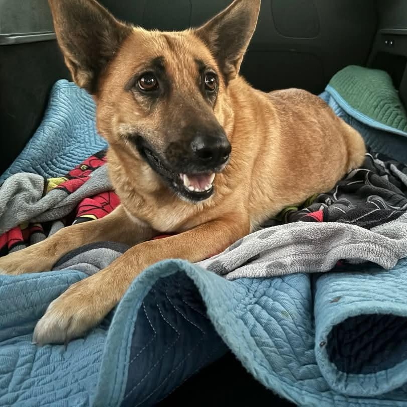 Freida - Mom of the Freida Fam!