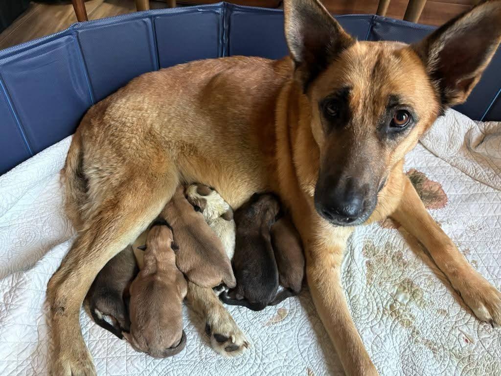 Freida - Mom of the Freida Fam!