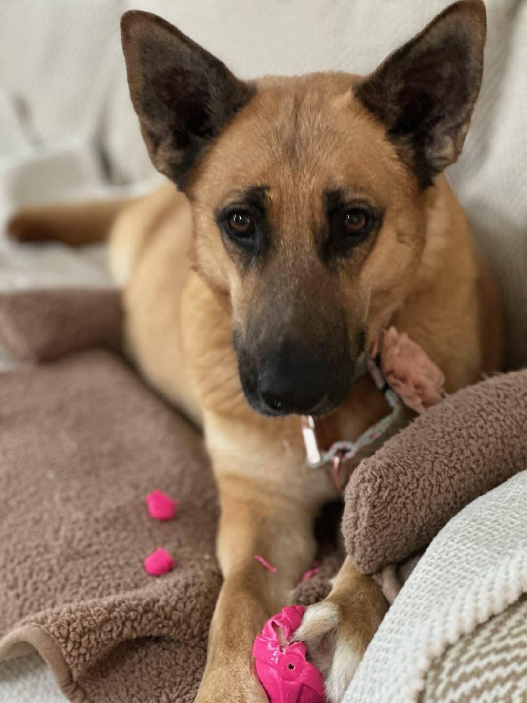 Freida - Mom of the Freida Fam!