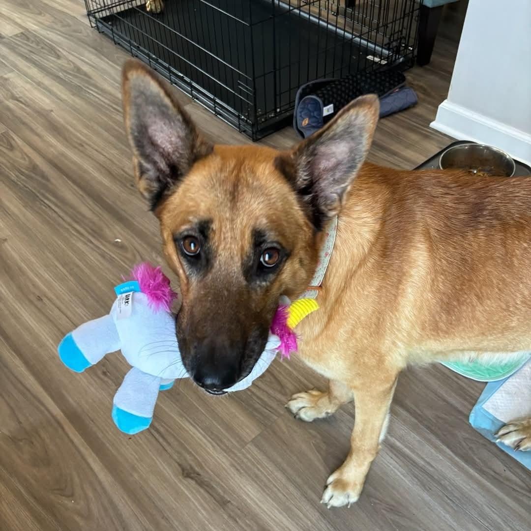 Freida - Mom of the Freida Fam!