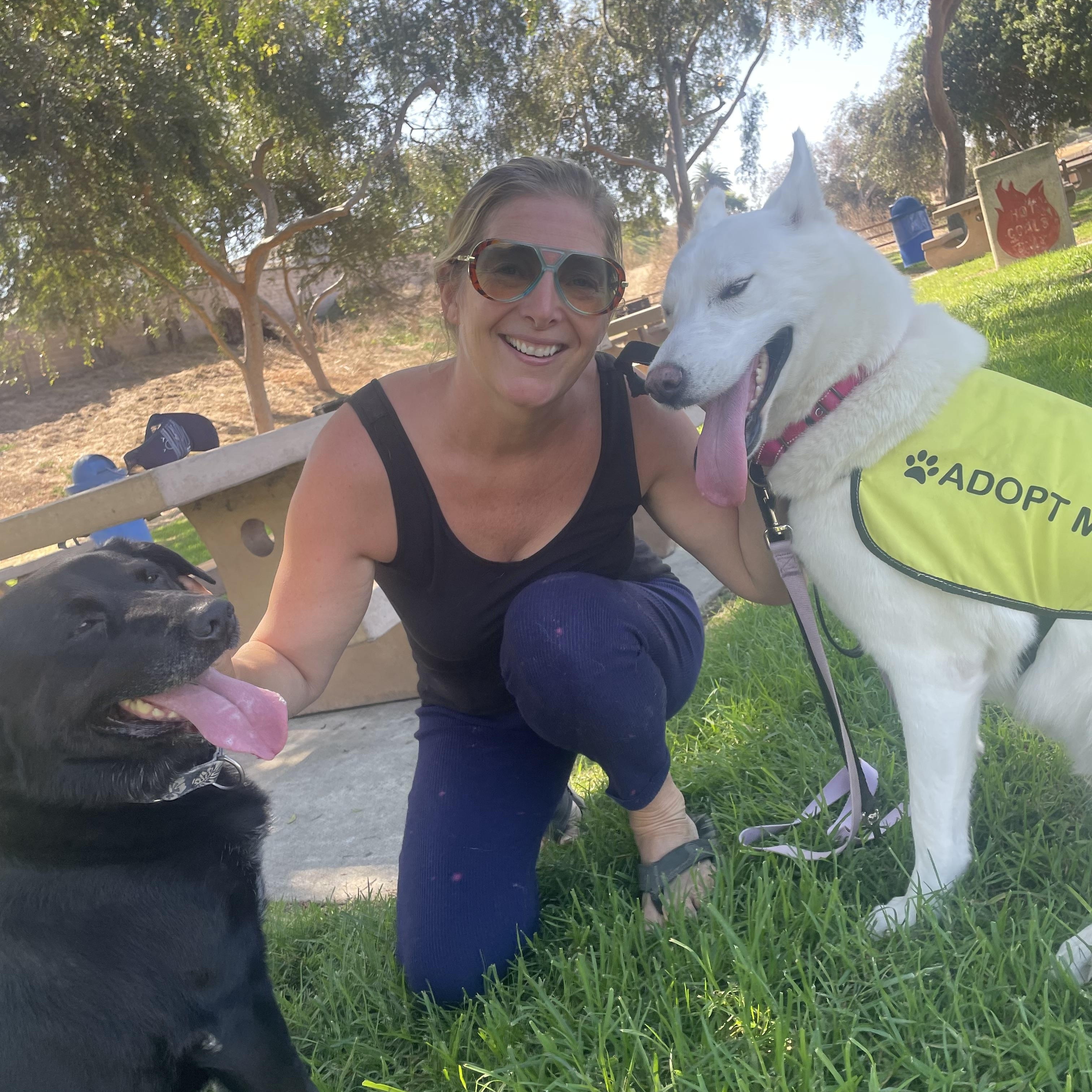 Enlarge Jasmine, a Adopted mixed breed in Torrance, CA image 3/6