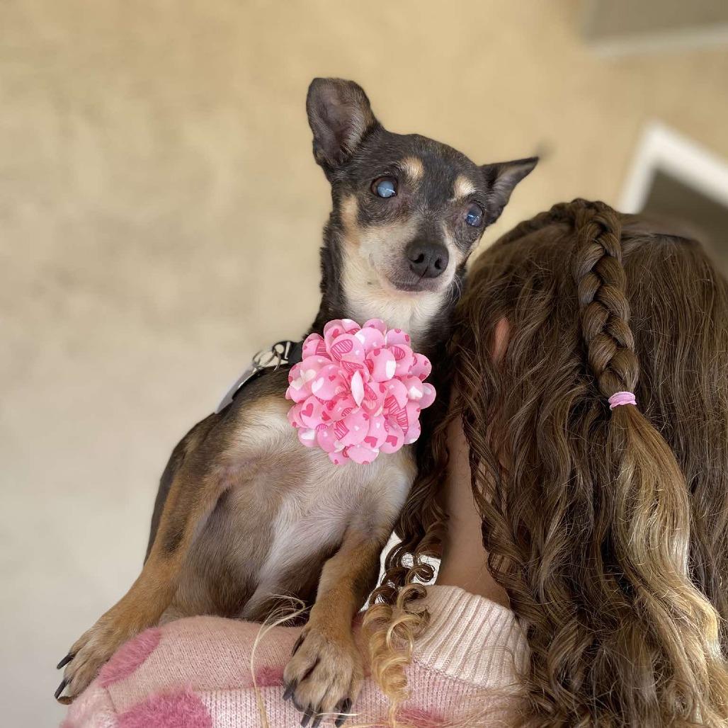 Glenada — thumbnail 2