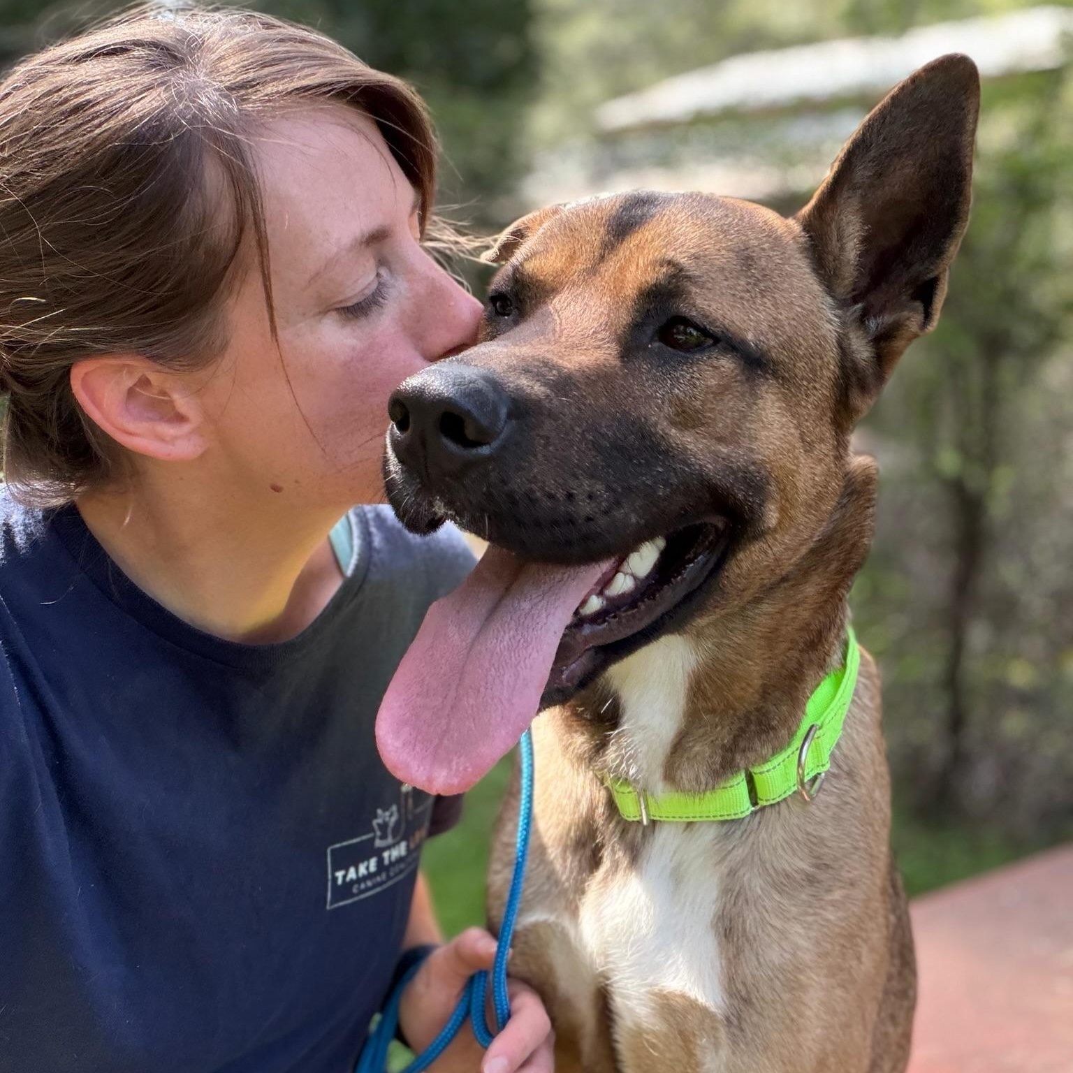 Enlarge Scooby Doo, a ADOPTABLE mixed breed in Grass Valley, CA image 5/6