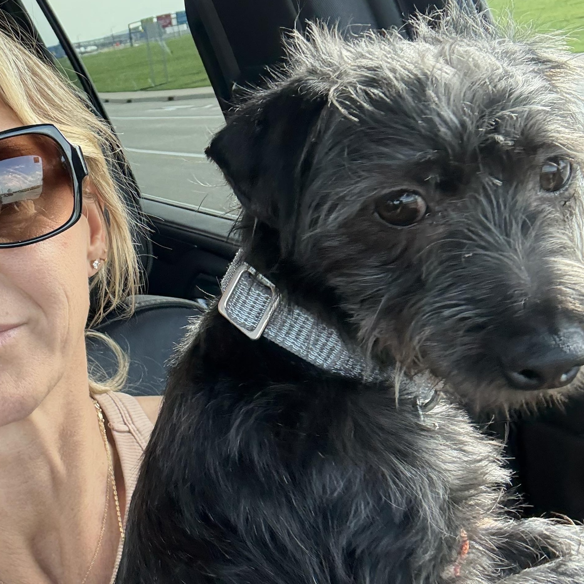 Enlarge Oscar, a Adopted mixed breed in Pigeon, MI image 3/5